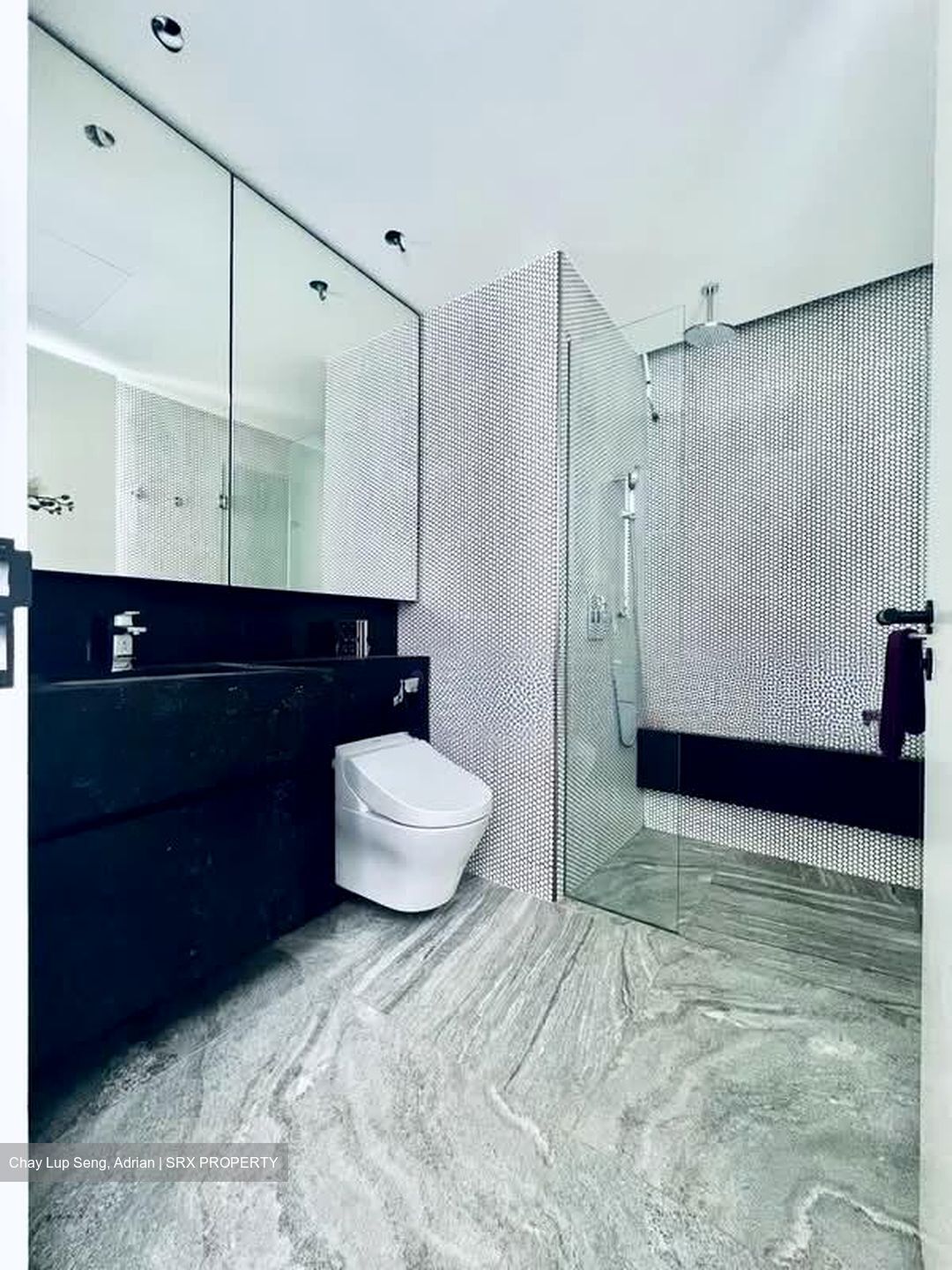 10 Evelyn (D11), Apartment #538010061